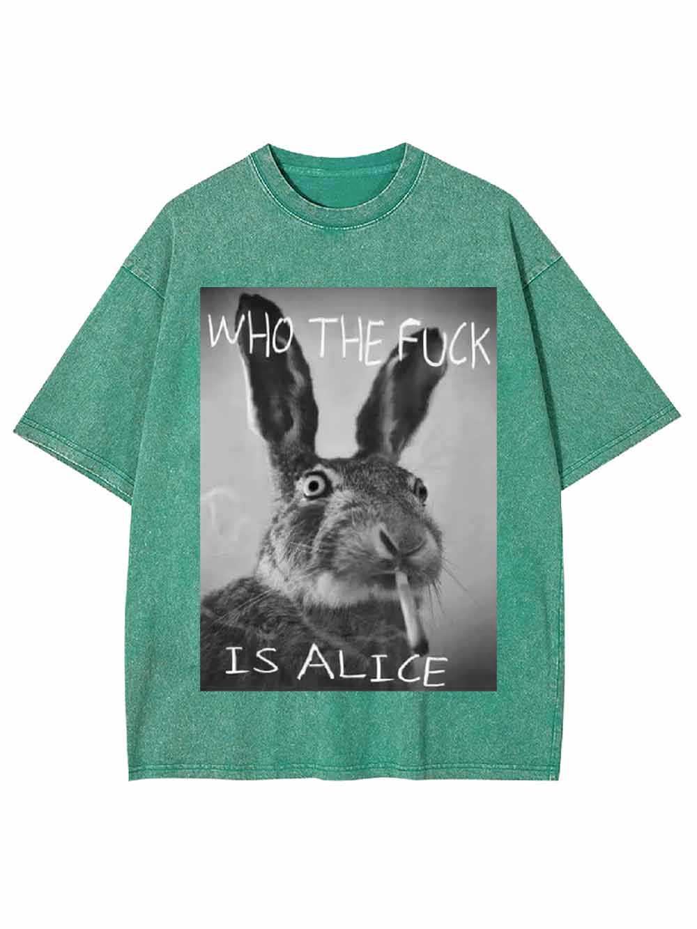 WHO THE FUCK IS ALICE WASHED TSHIRT