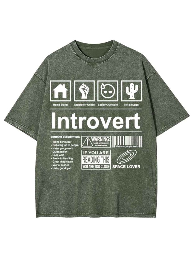Introvert Washed Tshirt