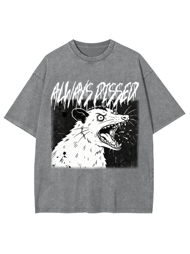 [Copy]aaa Washed Tshirt