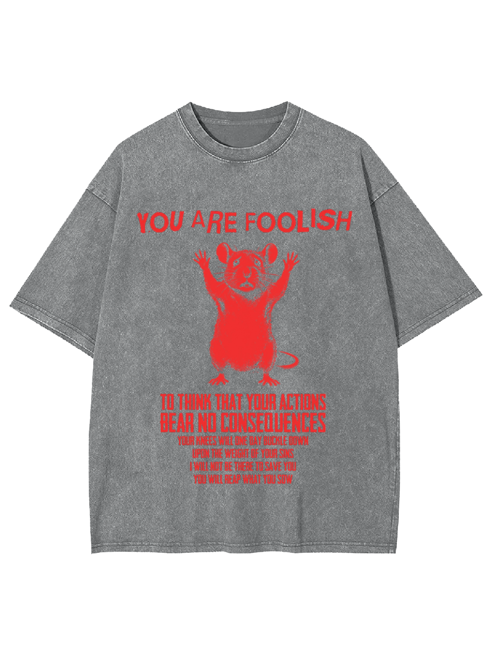 Echo of Consequence Washed Tshirt