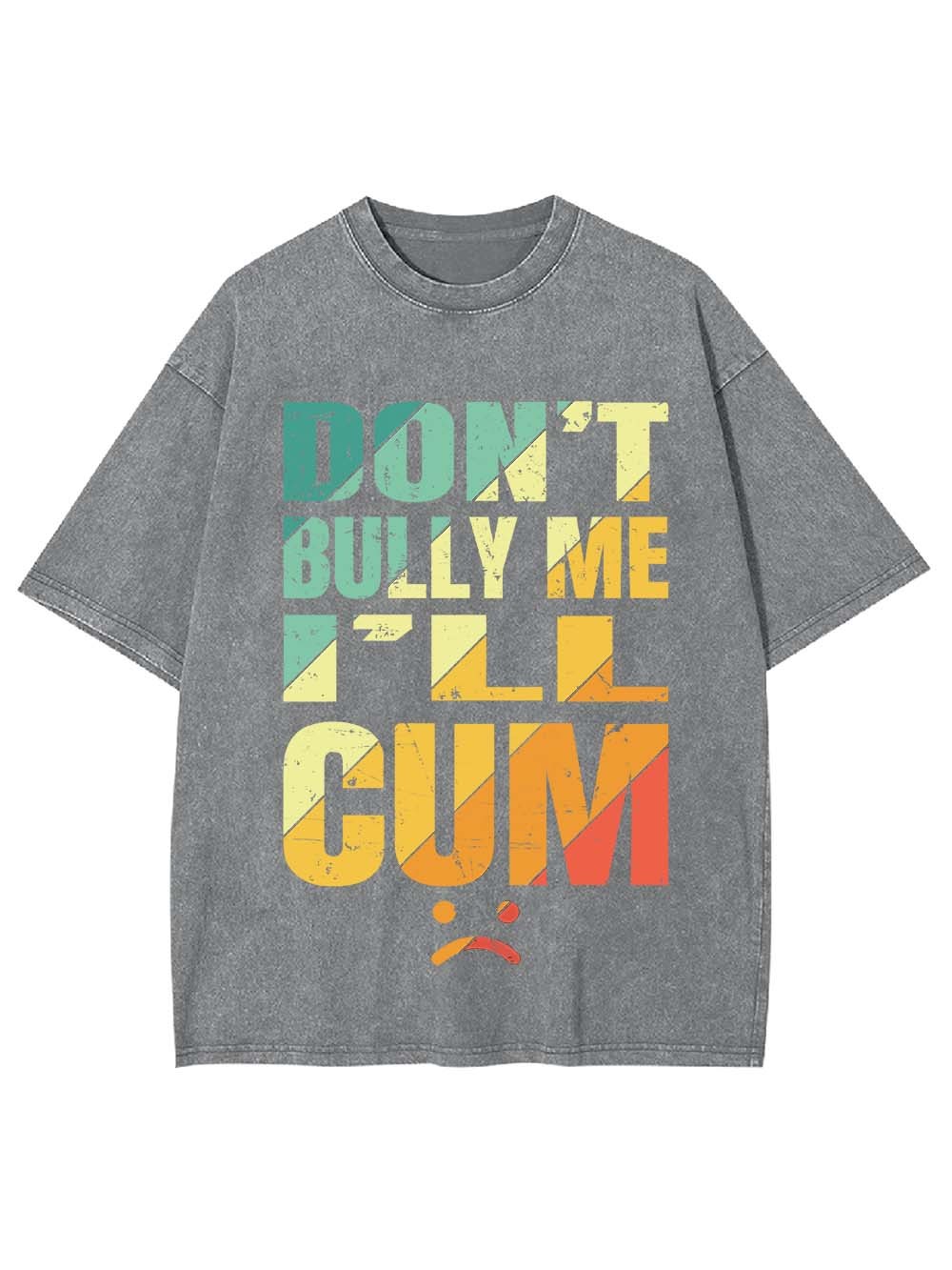 Don't Bully Me I'll Cum Washed Tshirt