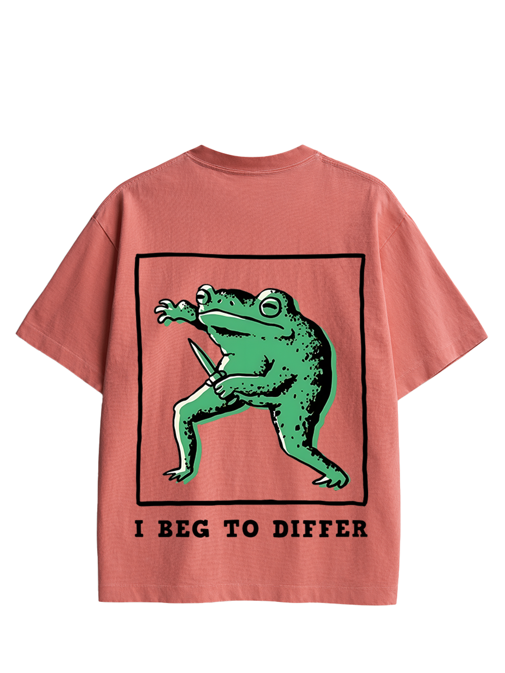 I BEG TO DIFFER DOUBLE SIDED PRINT WASHED TSHIRT