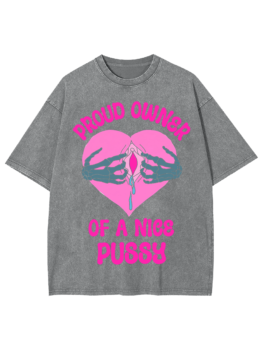 PROUD OWNER OF A NICE PUSSY WASHED TSHIRT