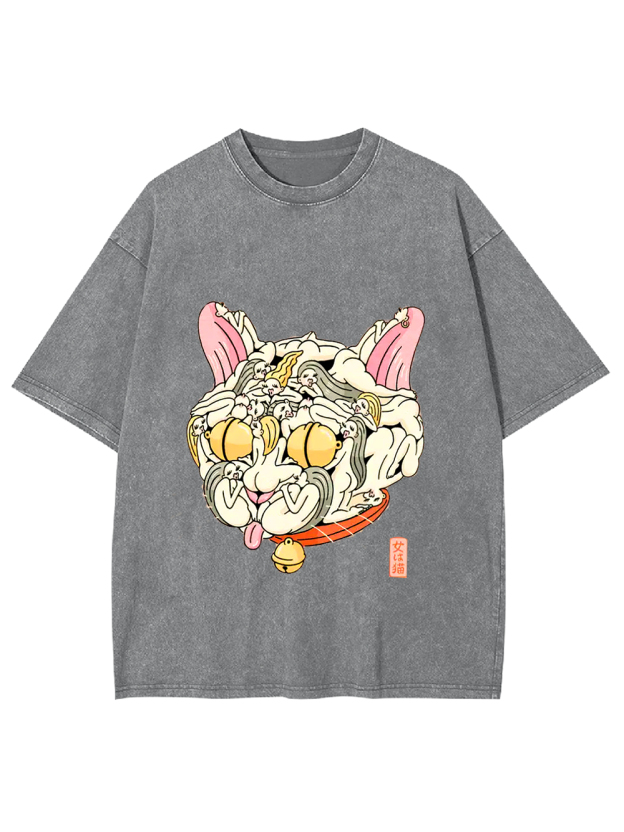 Cat of Many Faces Washed Tshirt