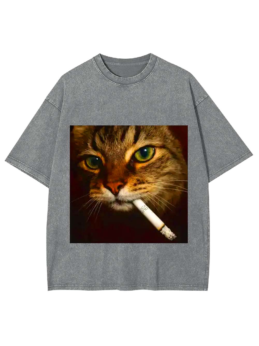 Smoking Cat Washed Tshirt