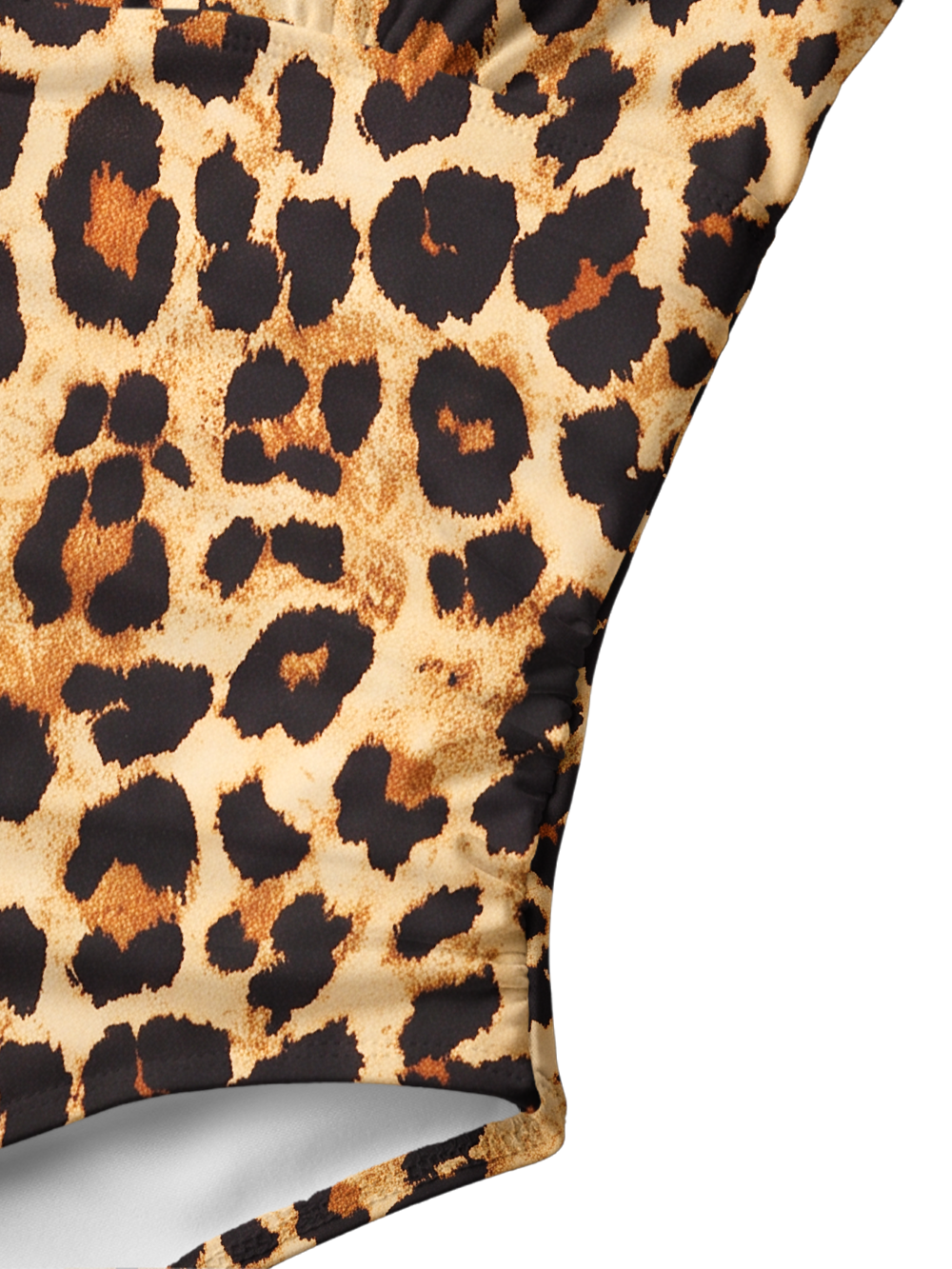 WILD LEOPARD V-NECK ONE PIECE SWIMSUIT