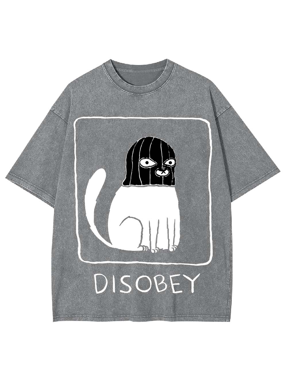 Disobey Washed Tshirt