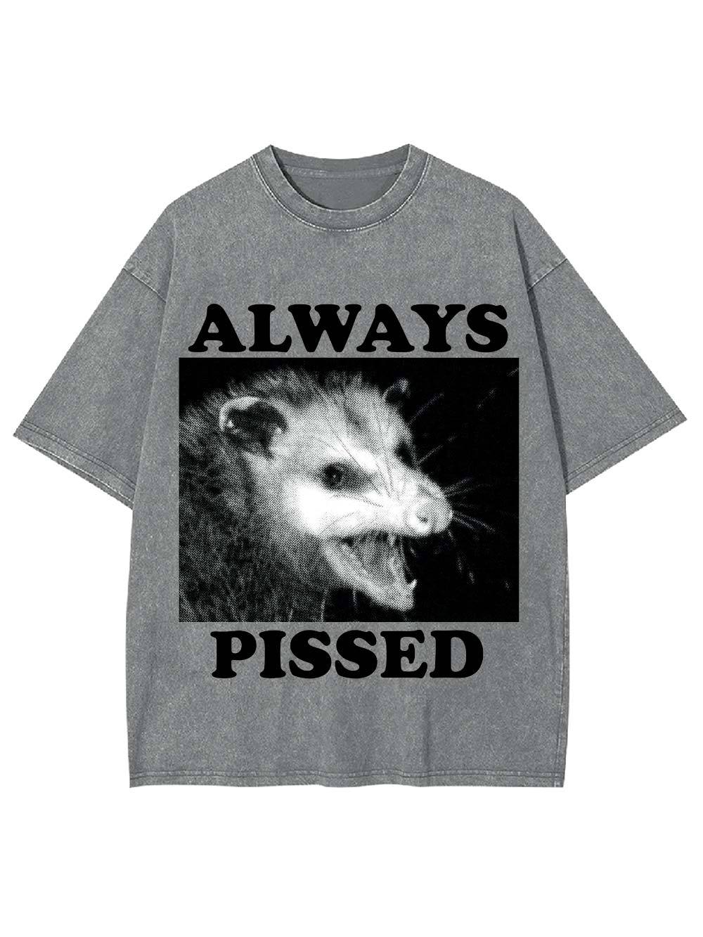 Always Pissed Washed Tshirt