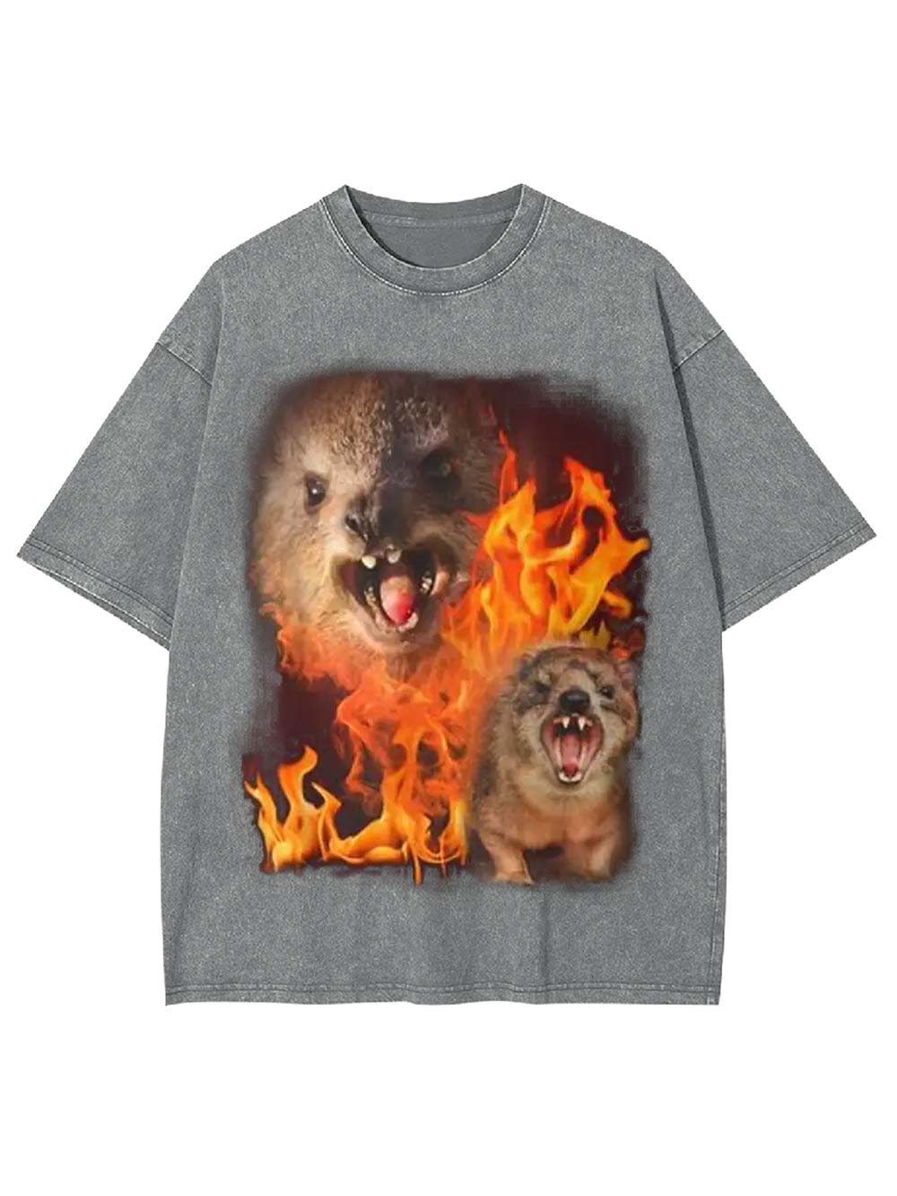 Fury in Flames Washed Tshirt