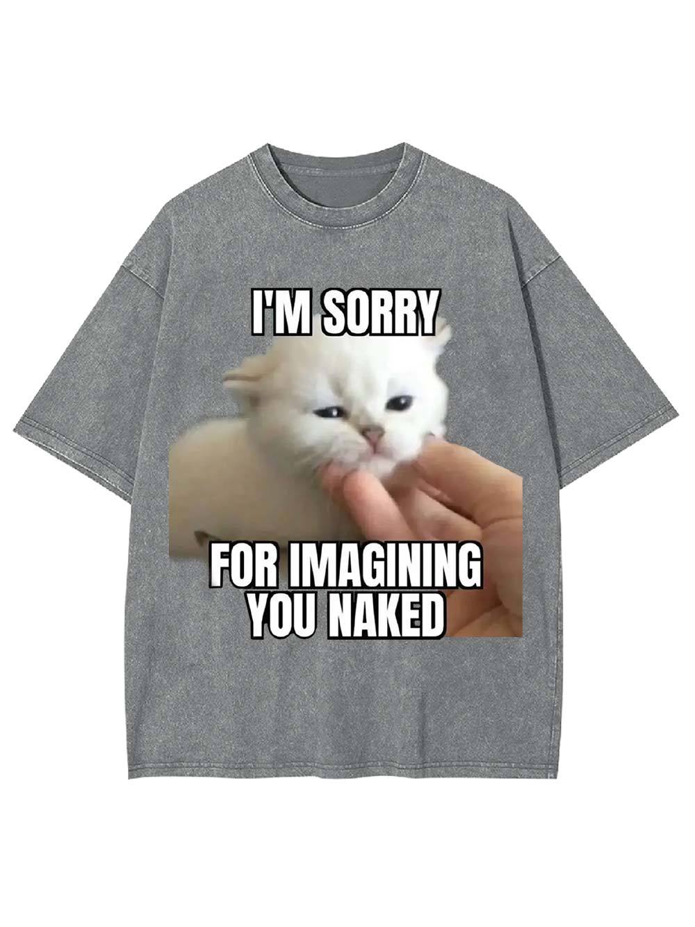 I'm Sorry for Imagining You Naked Washed Tshirt
