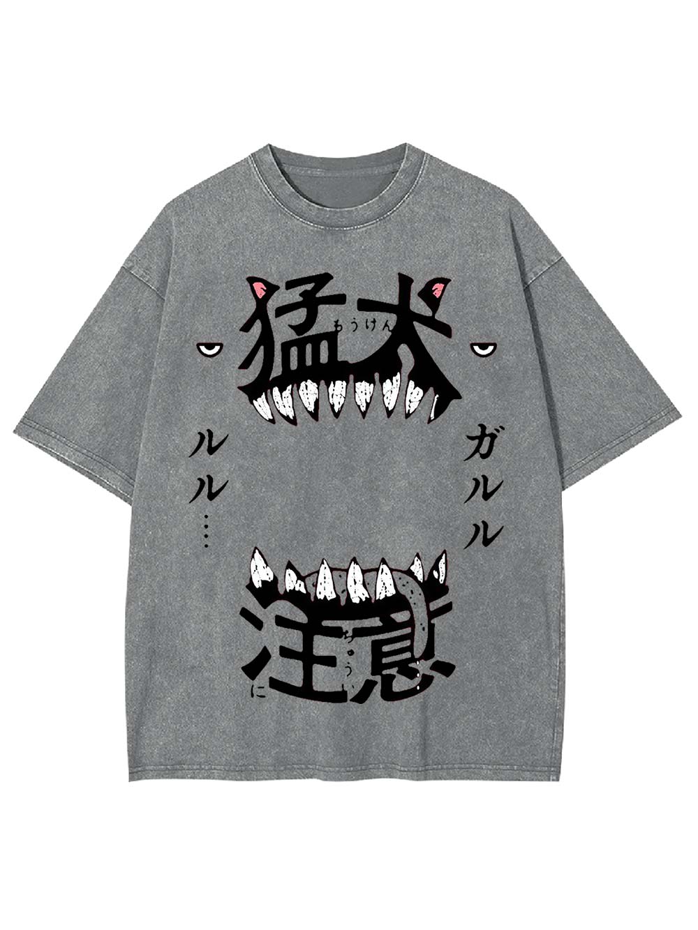 Beware of the Fierce Dog Washed Tshirt