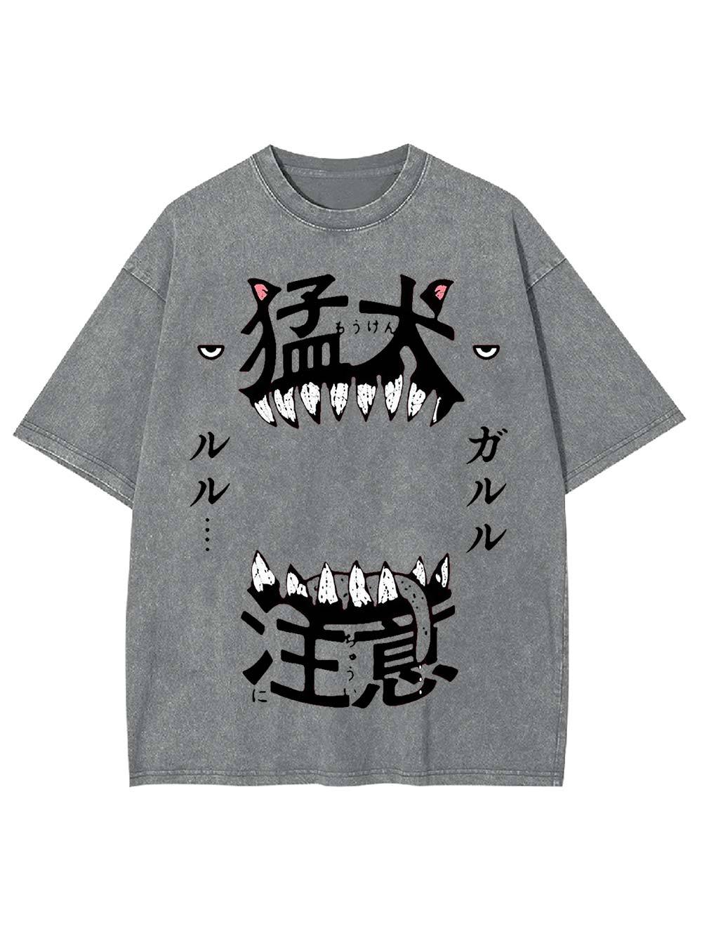 Beware of the Fierce Dog Washed Tshirt