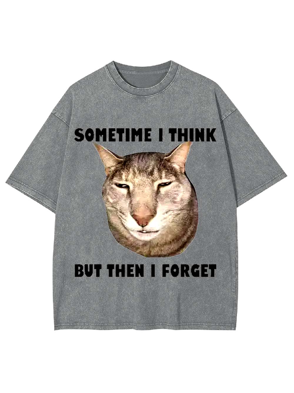 Sometime I Think   But Then I Forget  Washed Tshirt