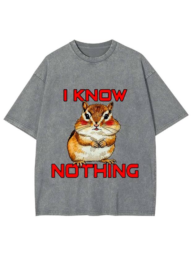 I Know Nothing Washed Tshirt