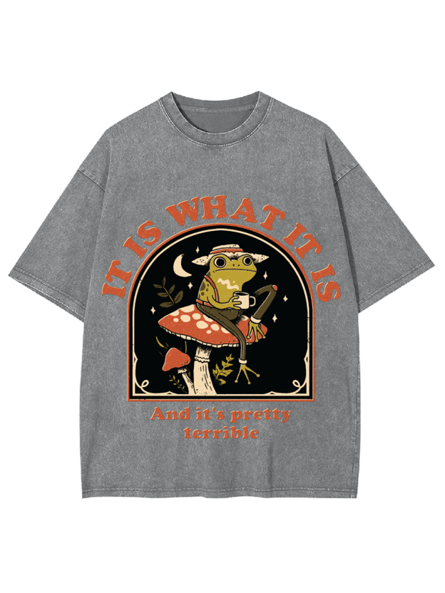 It Is What It Is Washed Tshirt