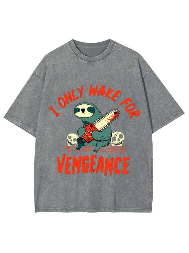 I Only Wake For Vengeance Washed Tshirt