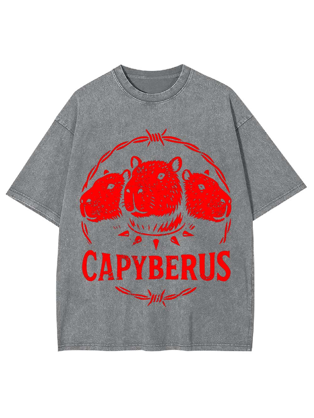 Capyberus Washed Tshirt