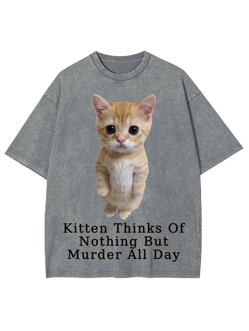 Kitten Thinks Of Nothing But Murder All Day Washed Tshirt