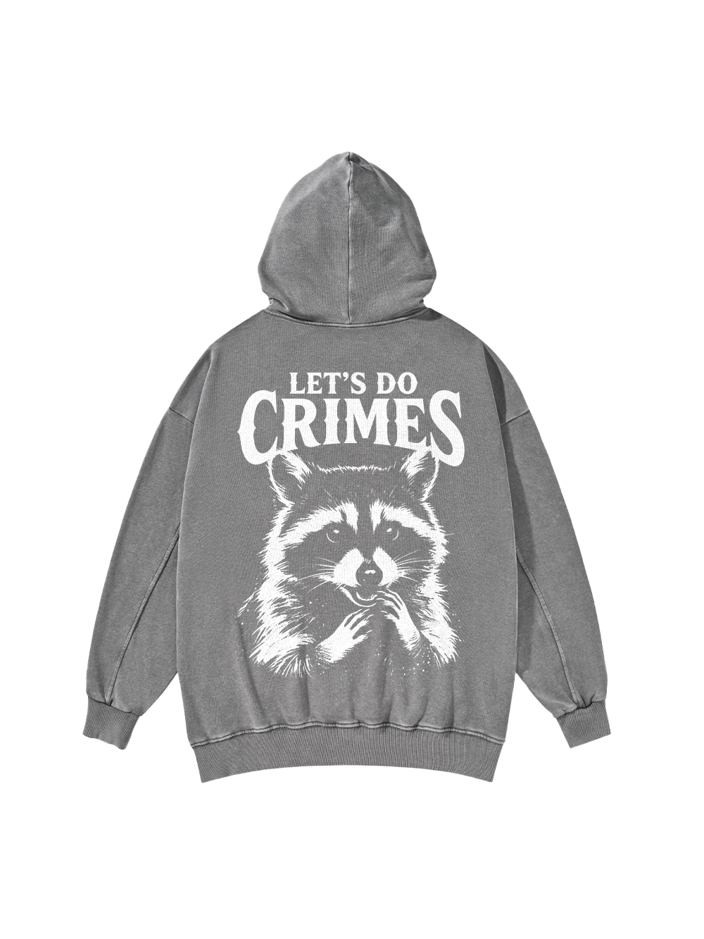 CRIMINAL RACCOON PLANS WASHED HOODIE