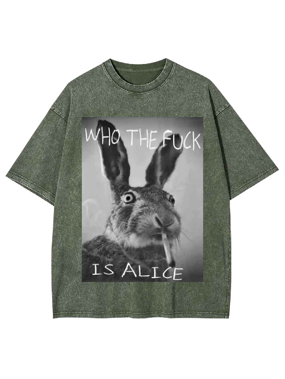 WHO THE FUCK IS ALICE WASHED TSHIRT