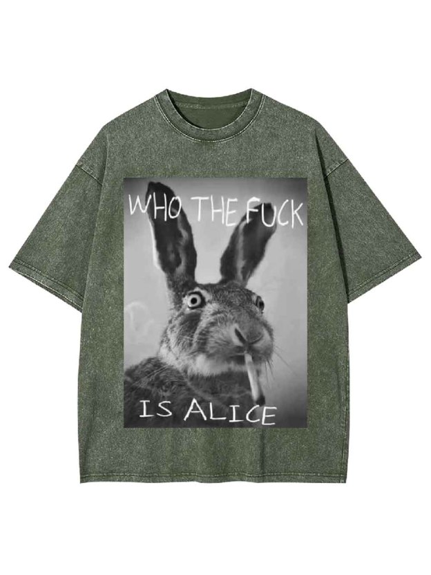 WHO THE FUCK IS ALICE WASHED TSHIRT