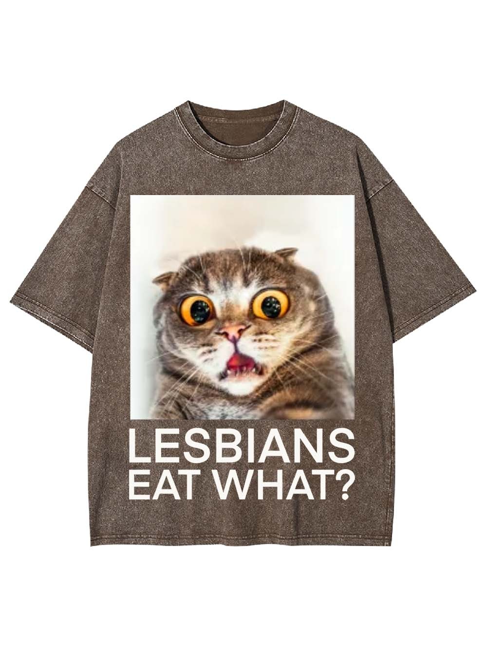 LESBIANS EAT WHAT? WASHED TSHIRT