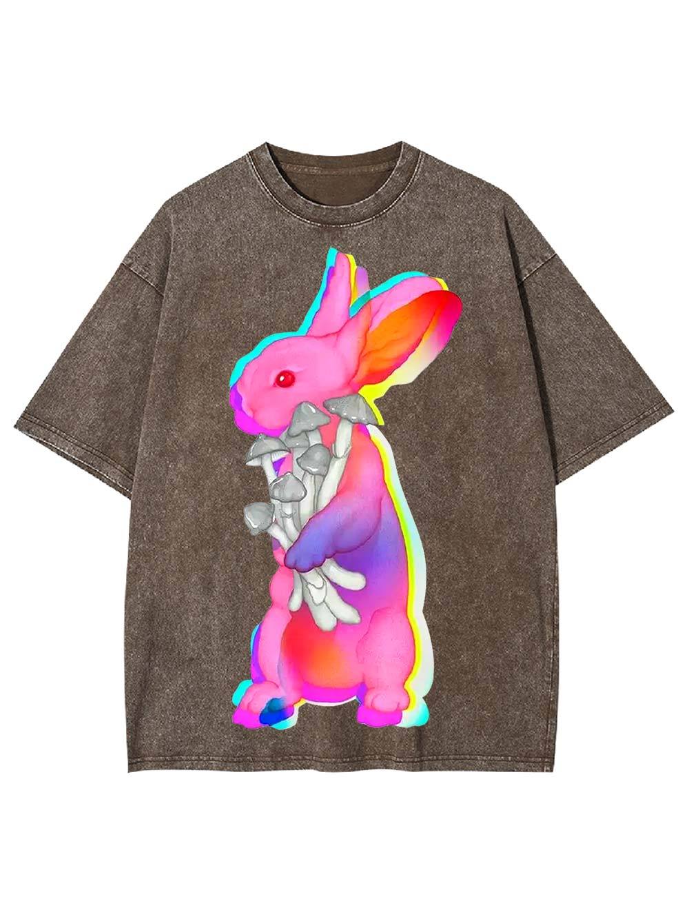 Psychedelic Bunny Washed Tshirt