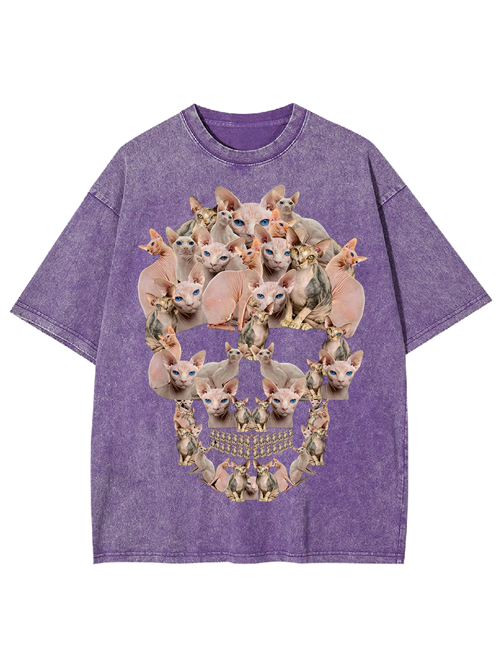 Feline Skull Society Washed Tshirt
