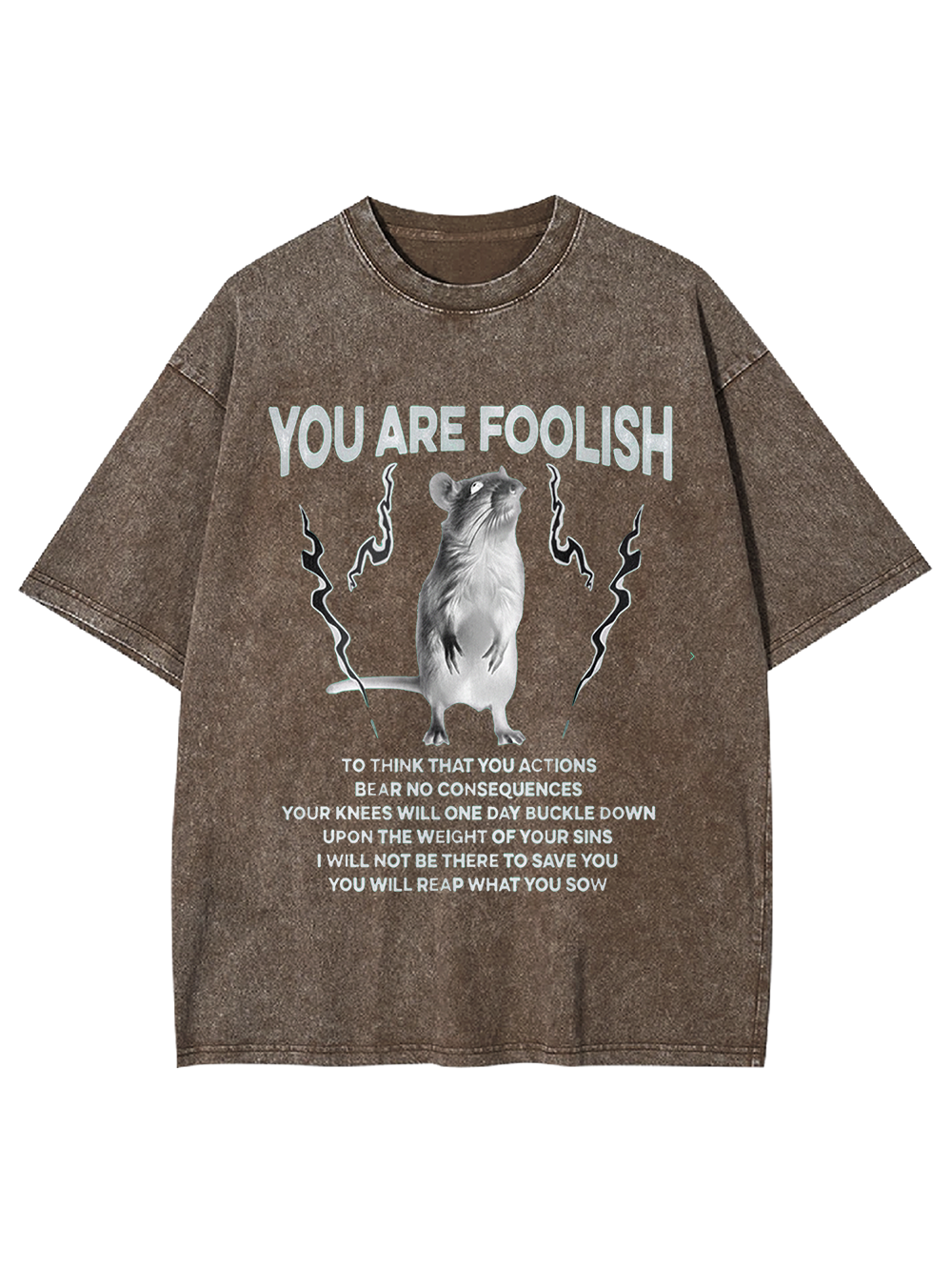You Are Foolish Washed Tshirt