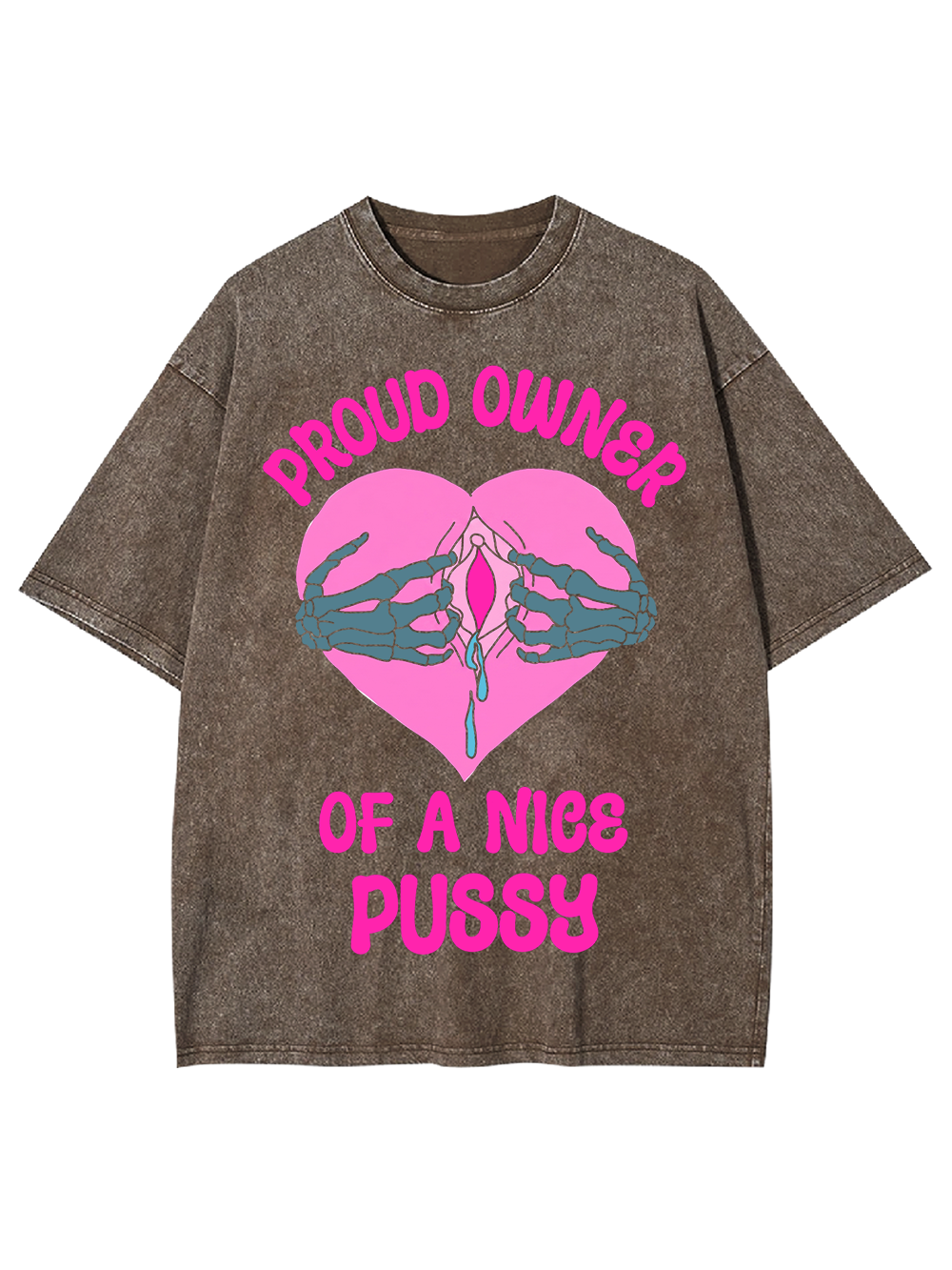 PROUD OWNER OF A NICE PUSSY WASHED TSHIRT