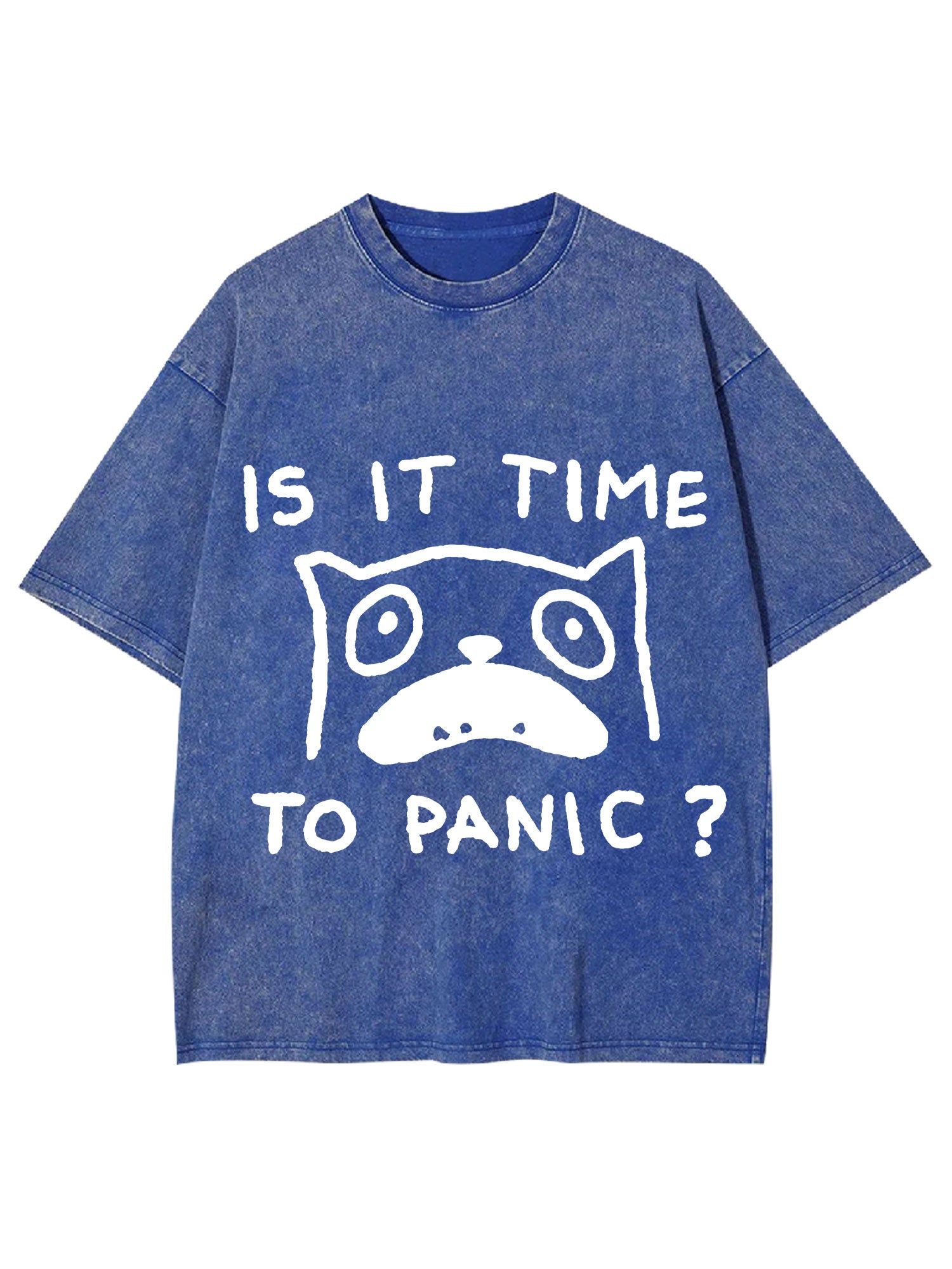 Is It Time To Panic Washed Tshirt