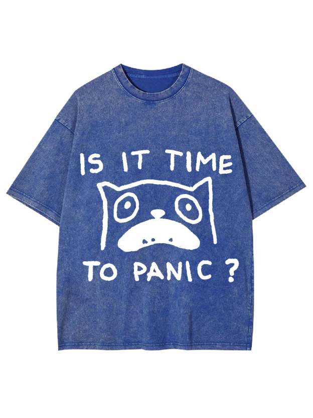 Is It Time To Panic Washed Tshirt