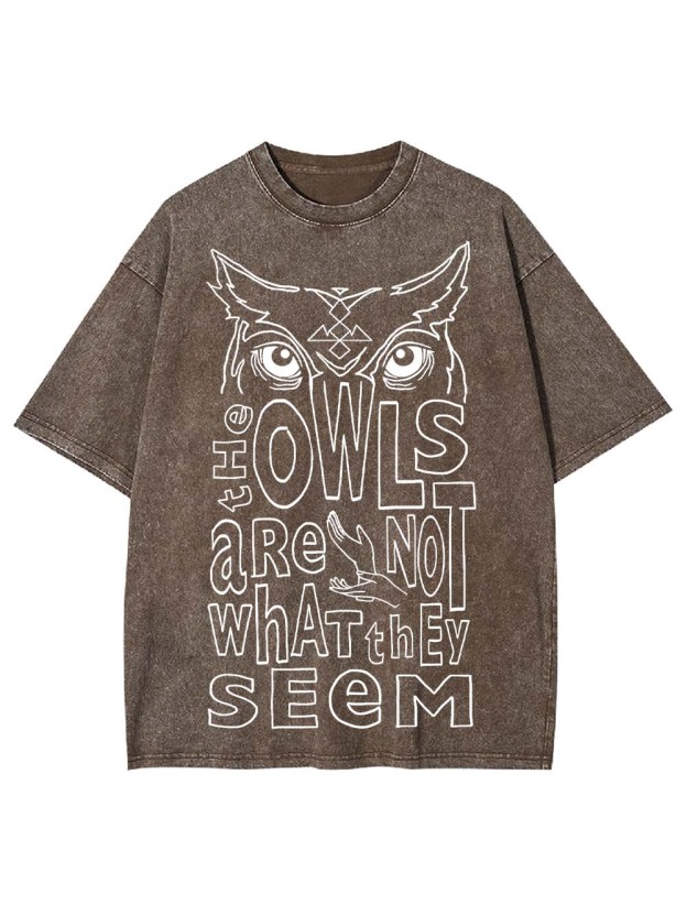 MYSTERIOUS OWLS WASHED TSHIRT