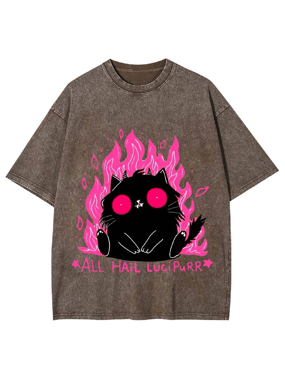 All Hail Lucipurr Washed Tshirt