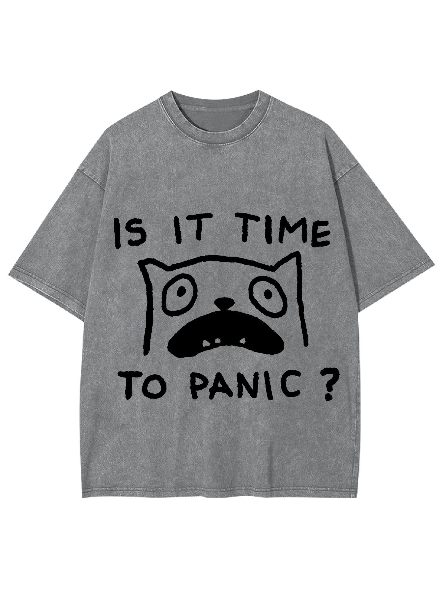 Is It Time To Panic Washed Tshirt