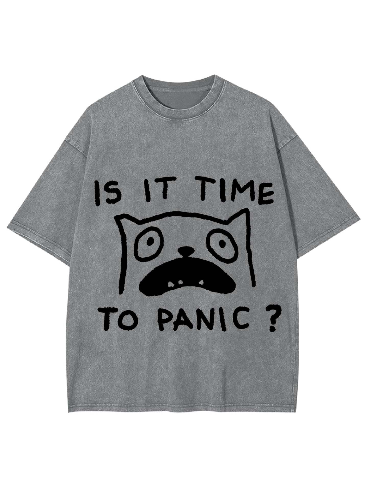 Is It Time To Panic Washed Tshirt