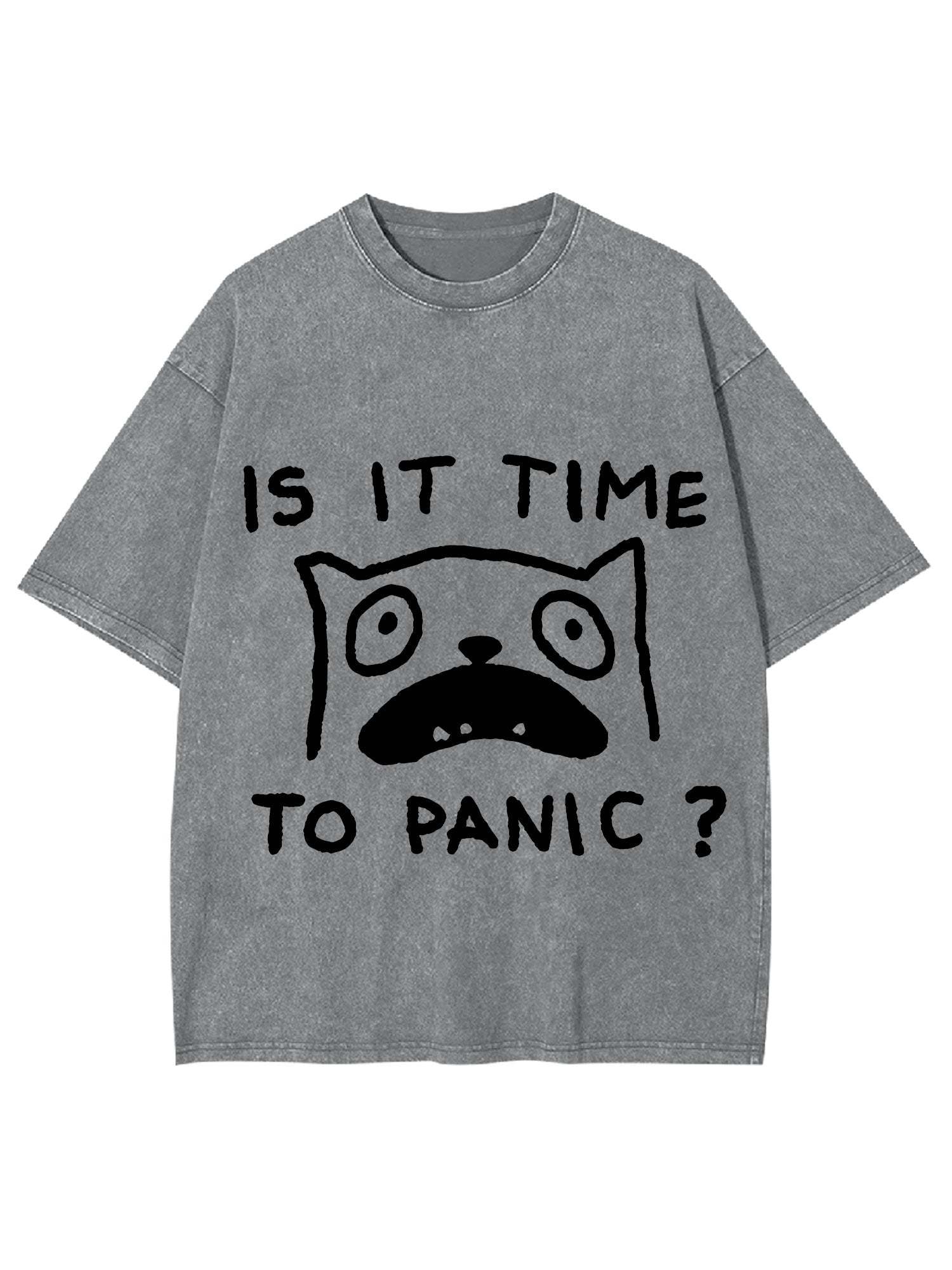Is It Time To Panic Washed Tshirt