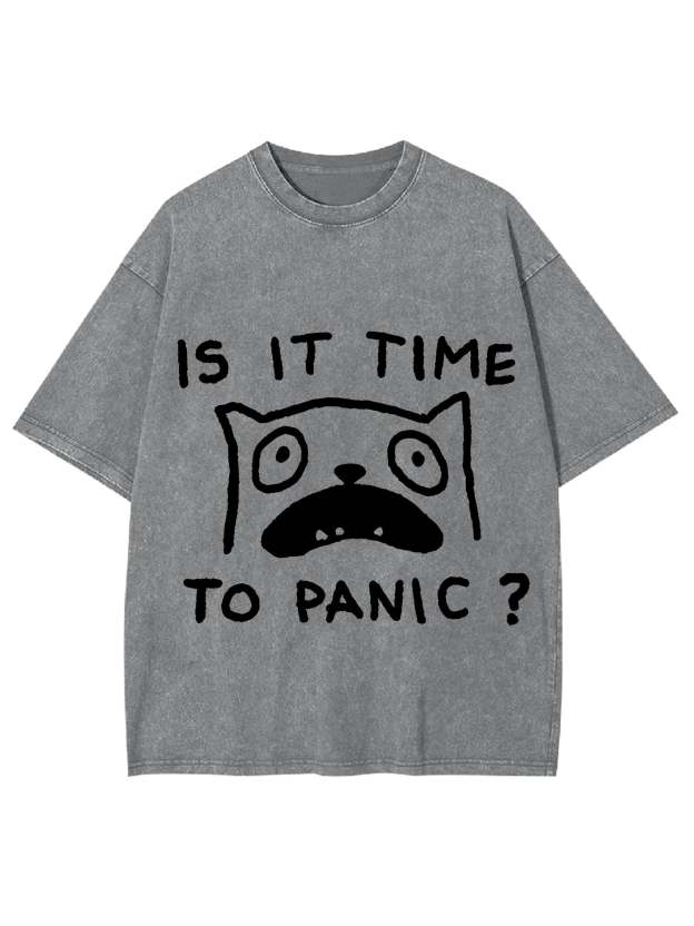Is It Time To Panic Washed Tshirt