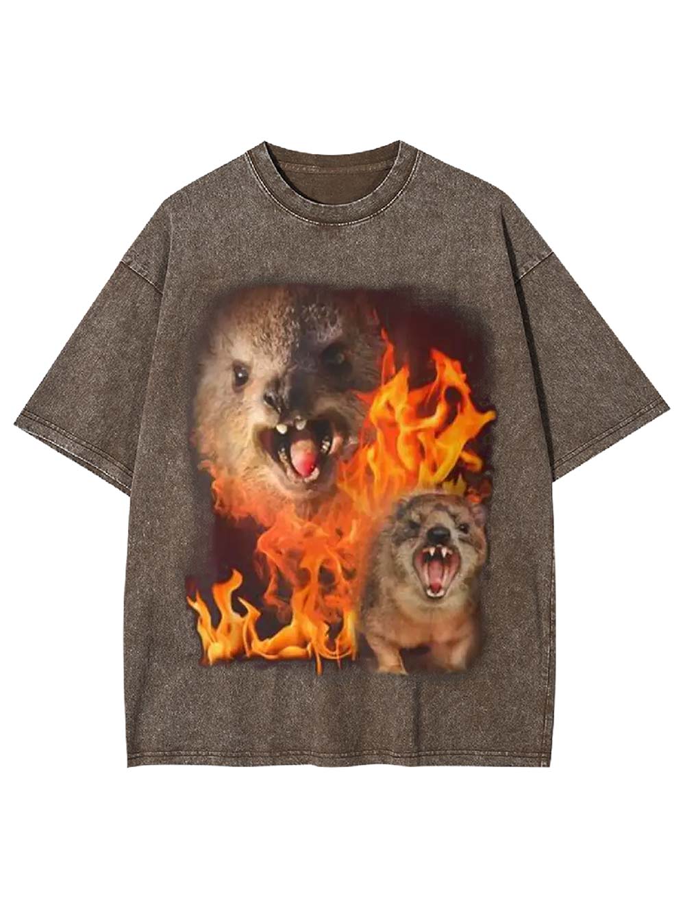 Fury in Flames Washed Tshirt