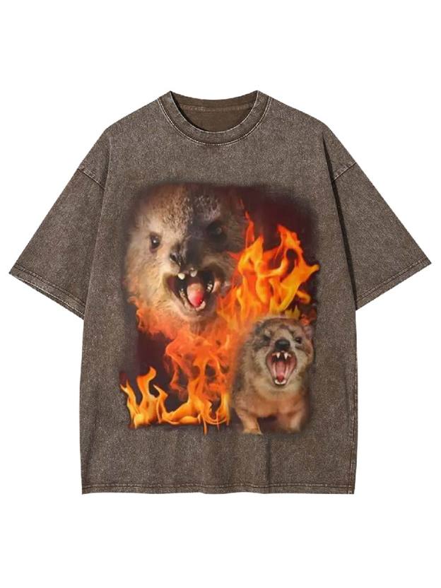 Fury in Flames Washed Tshirt