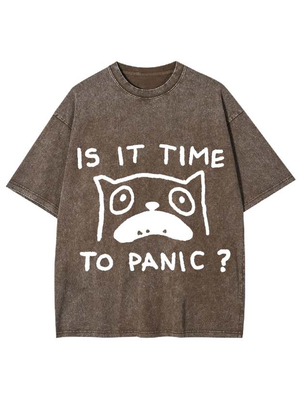 Is It Time To Panic Washed Tshirt