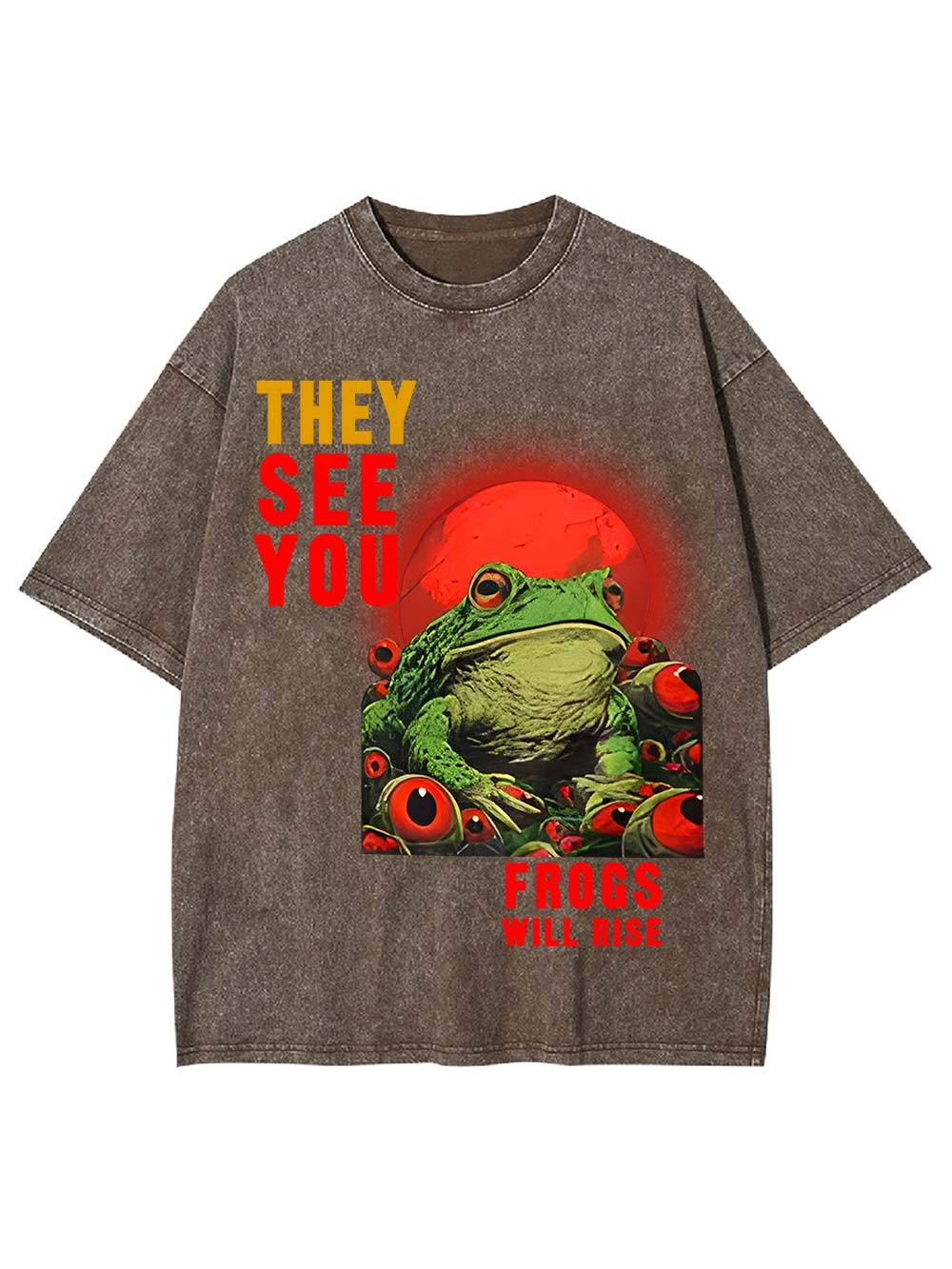 They See You: Frogs Will Rise Washed Tshirt