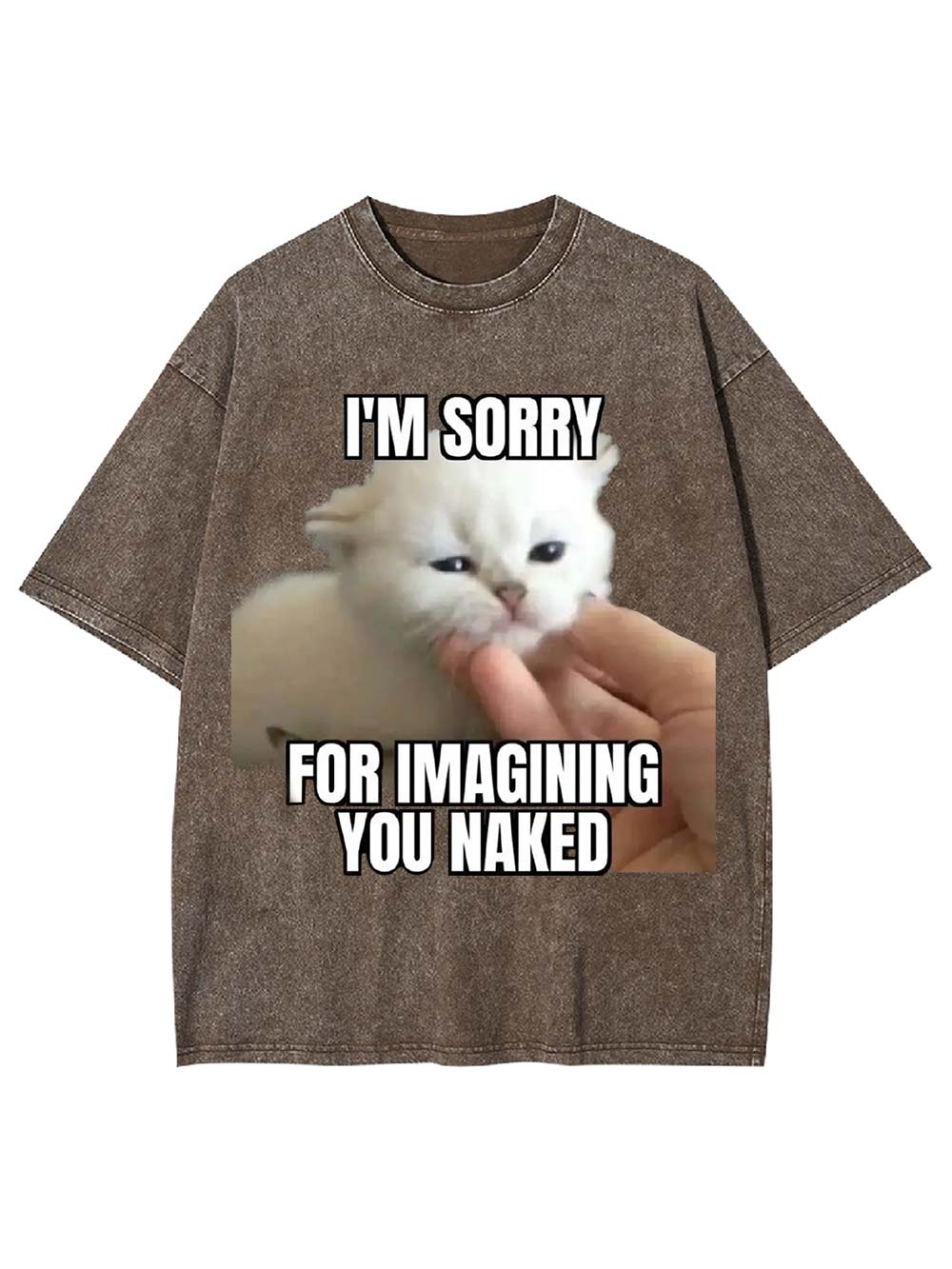 I'm Sorry for Imagining You Naked Washed Tshirt