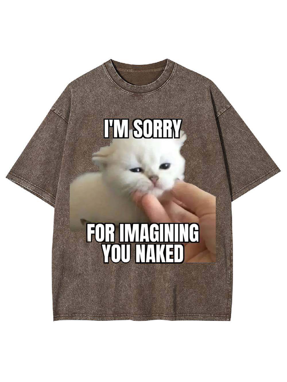 I'm Sorry for Imagining You Naked Washed Tshirt