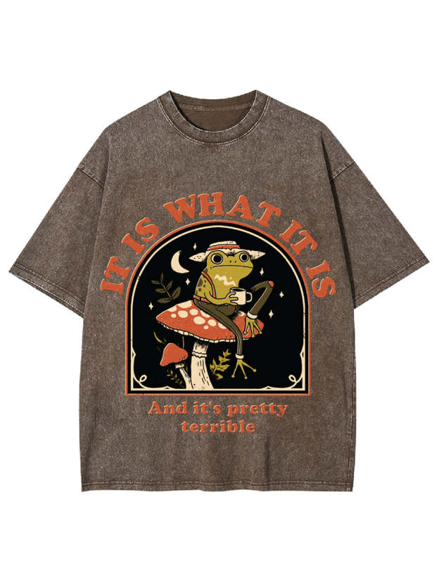 It Is What It Is Washed Tshirt