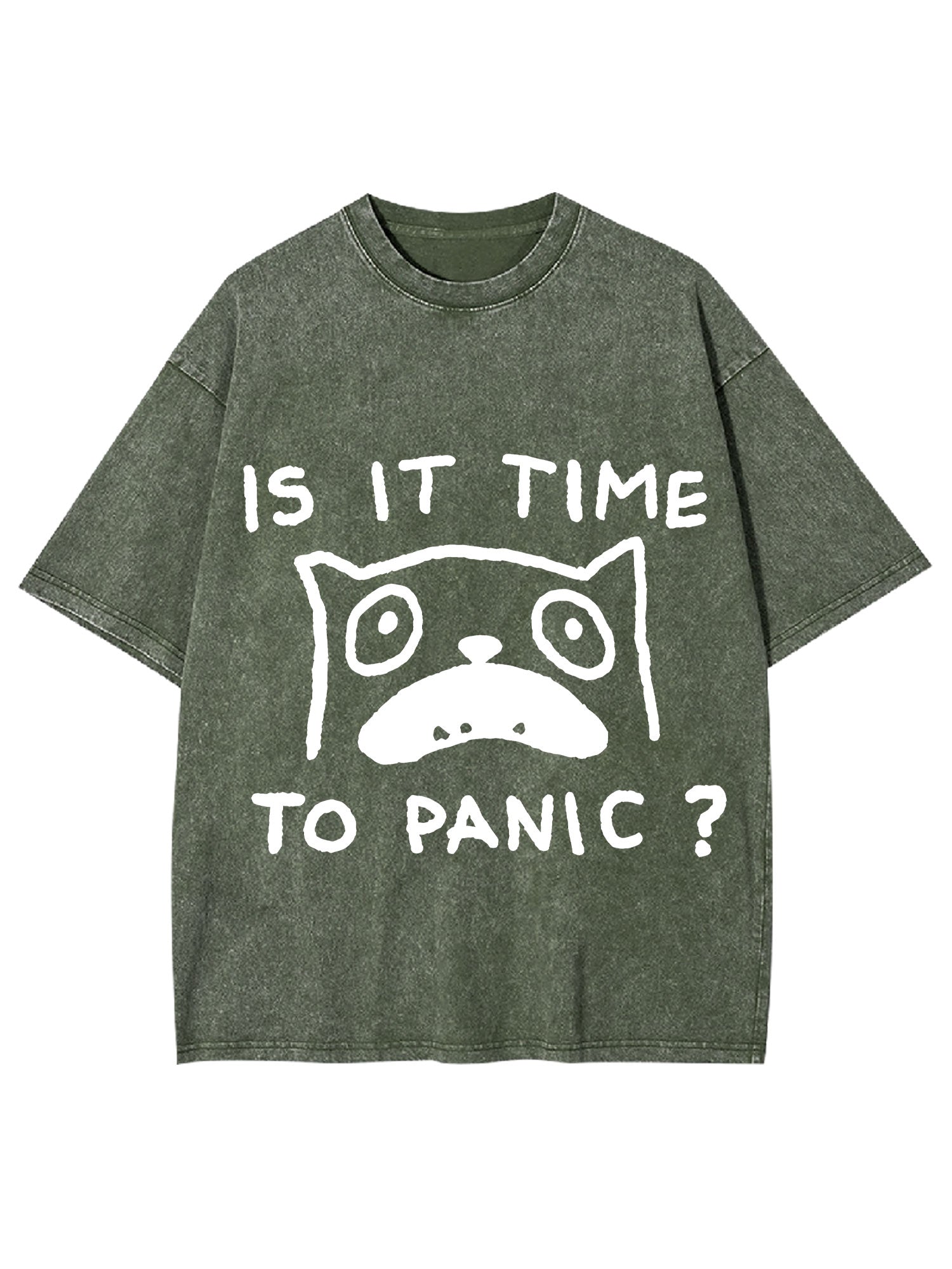 Is It Time To Panic Washed Tshirt