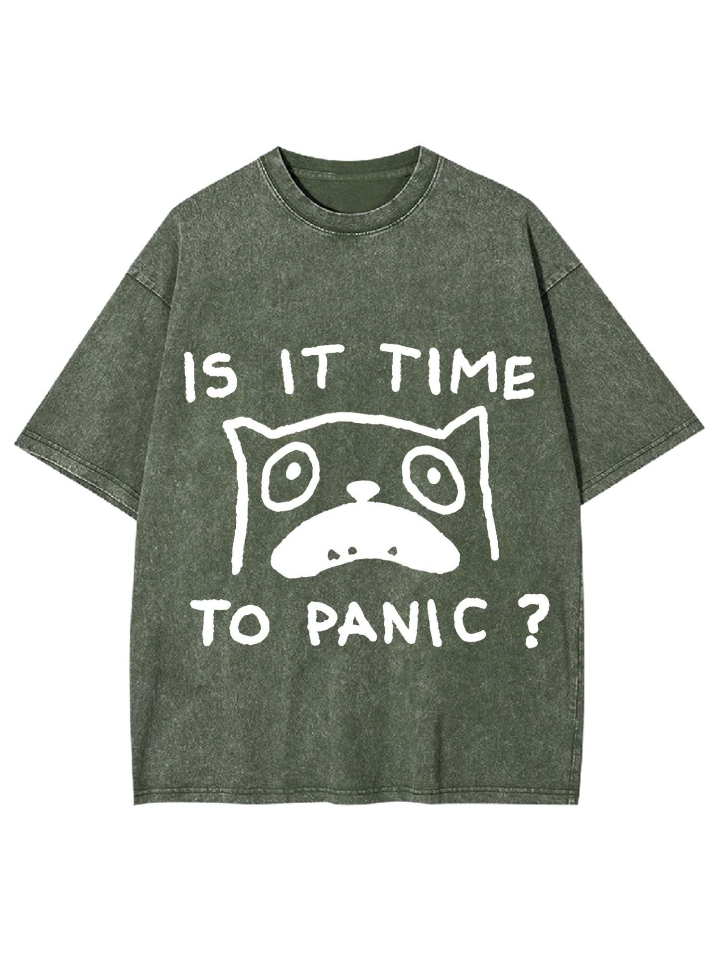 Is It Time To Panic Washed Tshirt