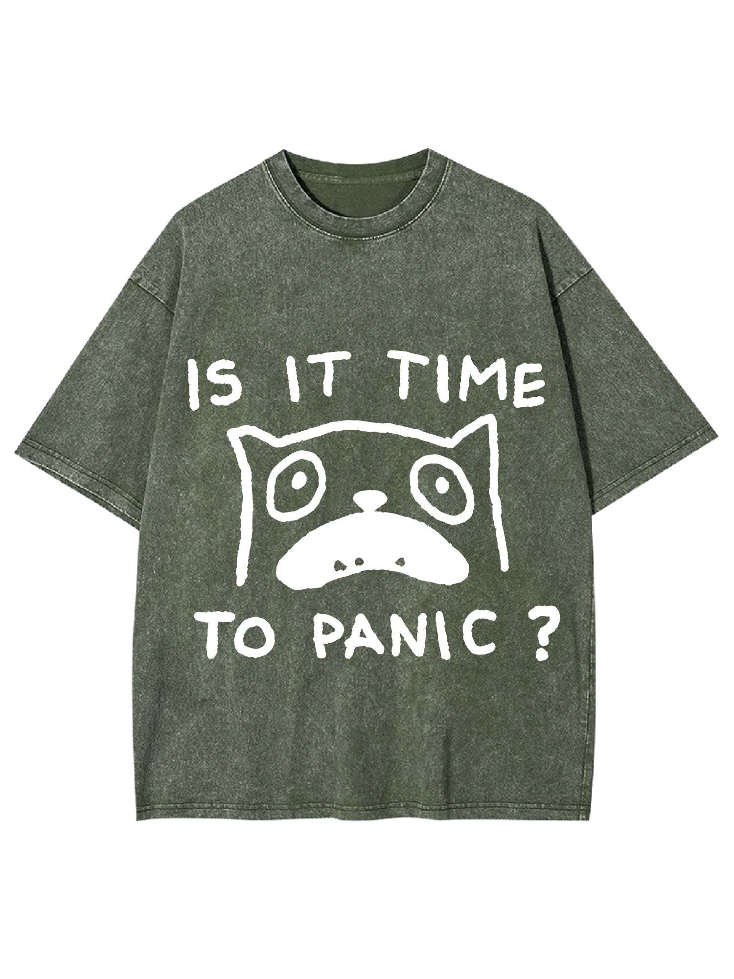 Is It Time To Panic Washed Tshirt