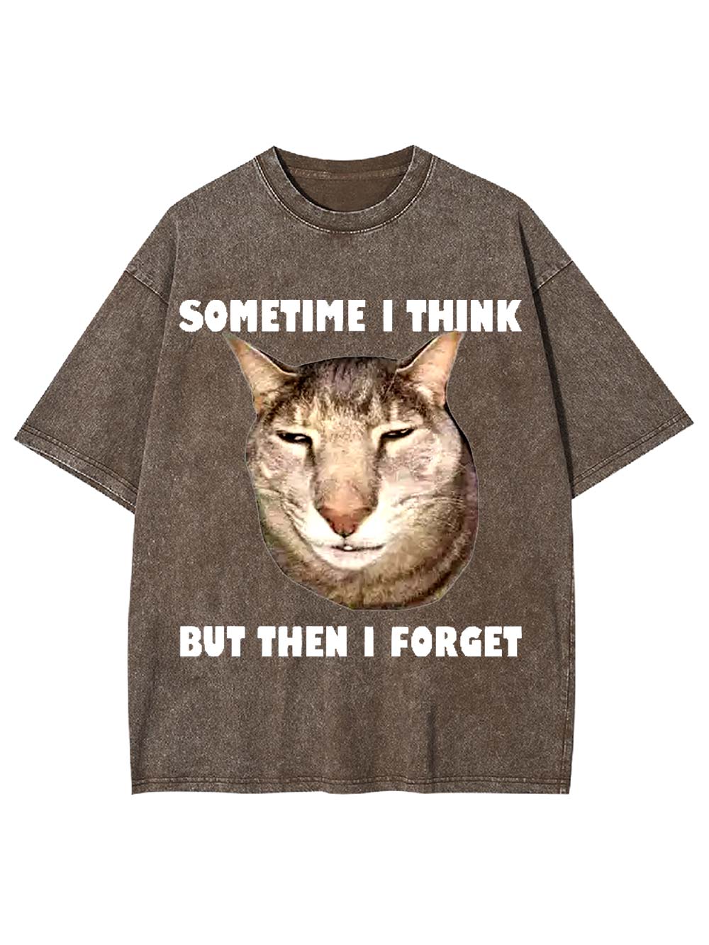 Sometime I Think   But Then I Forget  Washed Tshirt