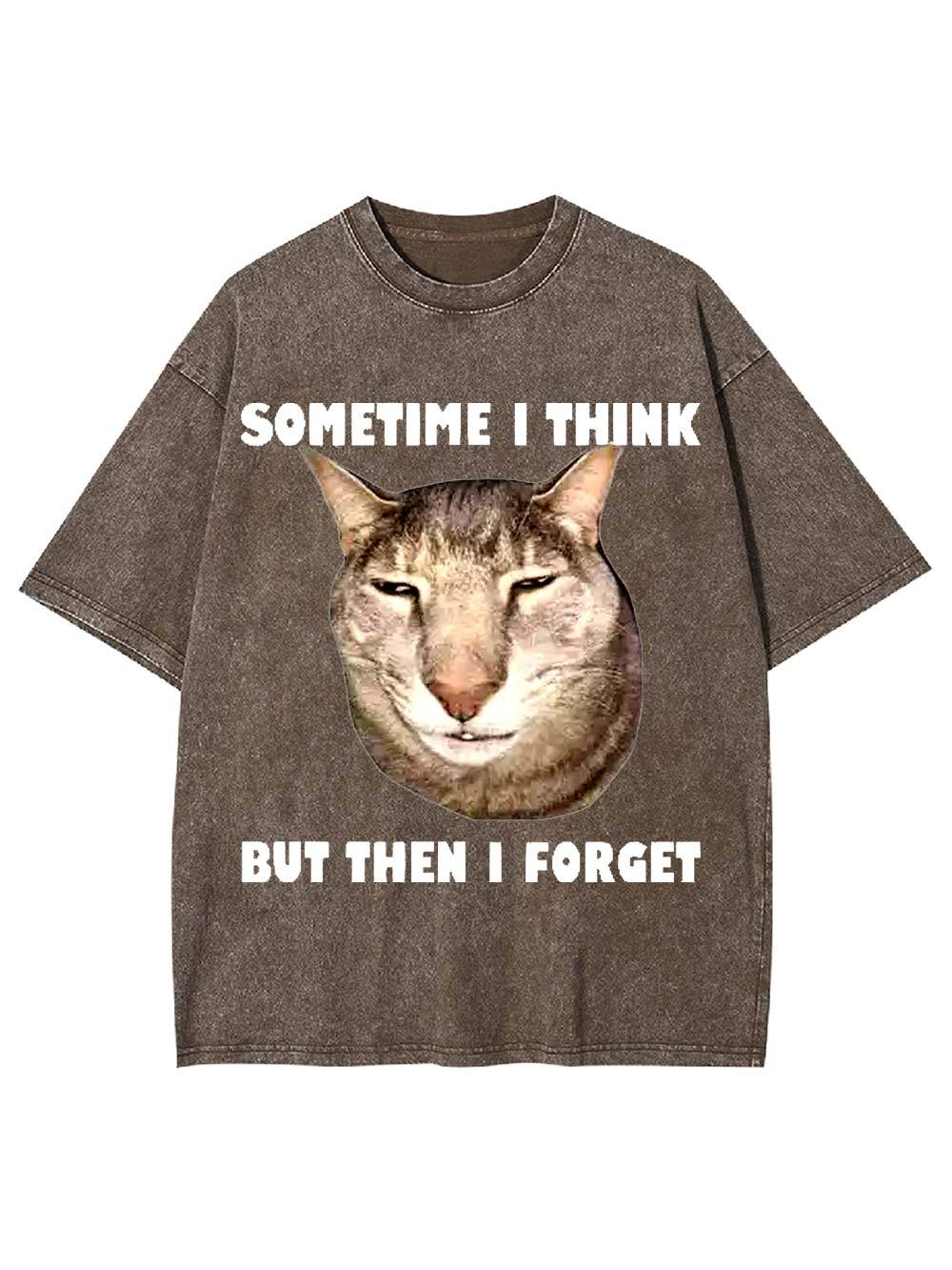 Sometime I Think   But Then I Forget  Washed Tshirt